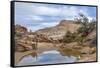 Utah, Capitol Reef National Park. Photographer Surveys Scenic-Jaynes Gallery-Framed Stretched Canvas