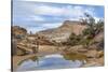 Utah, Capitol Reef National Park. Photographer Surveys Scenic-Jaynes Gallery-Stretched Canvas