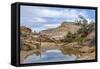 Utah, Capitol Reef National Park. Photographer Surveys Scenic-Jaynes Gallery-Framed Stretched Canvas