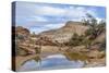 Utah, Capitol Reef National Park. Photographer Surveys Scenic-Jaynes Gallery-Stretched Canvas