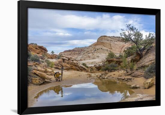 Utah, Capitol Reef National Park. Photographer Surveys Scenic-Jaynes Gallery-Framed Photographic Print