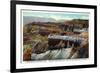 Utah, Cedar Breaks National Monument Aerial View-Lantern Press-Framed Premium Giclee Print