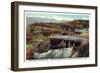 Utah, Cedar Breaks National Monument Aerial View-Lantern Press-Framed Art Print