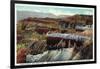 Utah, Cedar Breaks National Monument Aerial View-Lantern Press-Framed Art Print
