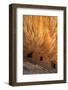 Utah, Cedar Mesa. Fallen Roof Ruin-Judith Zimmerman-Framed Photographic Print