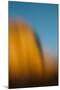 Utah. Colorful Abstract Reflections of Canyon Walls on Lake Powell-Judith Zimmerman-Mounted Photographic Print