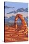 Utah - Delicate Arch-Lantern Press-Stretched Canvas