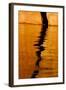 Utah. Detail, Colorful Abstract Reflections, Sunrise Reflections Off Tapestry Wall on Lake Powell-Judith Zimmerman-Framed Photographic Print