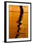 Utah. Detail, Colorful Abstract Reflections, Sunrise Reflections Off Tapestry Wall on Lake Powell-Judith Zimmerman-Framed Photographic Print