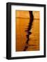 Utah. Detail, Colorful Abstract Reflections, Sunrise Reflections Off Tapestry Wall on Lake Powell-Judith Zimmerman-Framed Photographic Print