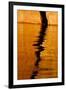 Utah. Detail, Colorful Abstract Reflections, Sunrise Reflections Off Tapestry Wall on Lake Powell-Judith Zimmerman-Framed Photographic Print