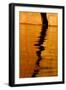 Utah. Detail, Colorful Abstract Reflections, Sunrise Reflections Off Tapestry Wall on Lake Powell-Judith Zimmerman-Framed Photographic Print