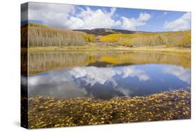 Utah, Dixie National Forest. Chriss Lake Landscape-Jaynes Gallery-Stretched Canvas