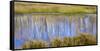 Utah, Dixie National Forest. Chriss Lake Landscape-Jaynes Gallery-Framed Stretched Canvas