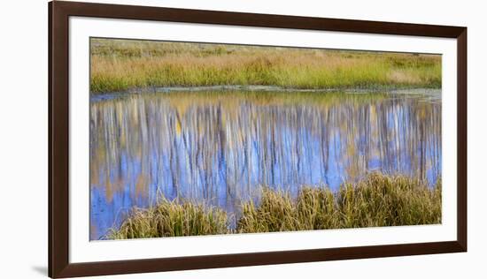 Utah, Dixie National Forest. Chriss Lake Landscape-Jaynes Gallery-Framed Photographic Print