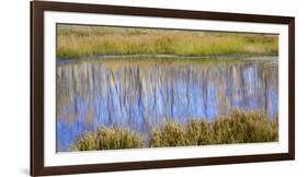 Utah, Dixie National Forest. Chriss Lake Landscape-Jaynes Gallery-Framed Photographic Print