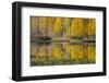 Utah, Fishlake National Forest. Round Lake Scenic-Jaynes Gallery-Framed Photographic Print