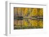 Utah, Fishlake National Forest. Round Lake Scenic-Jaynes Gallery-Framed Photographic Print