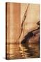 Utah, Glen Canyon National Recreation Area. Tapestry Wall and Reflection Detail at Sunrise-Judith Zimmerman-Stretched Canvas