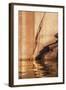 Utah, Glen Canyon National Recreation Area. Tapestry Wall and Reflection Detail at Sunrise-Judith Zimmerman-Framed Photographic Print
