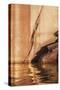 Utah, Glen Canyon National Recreation Area. Tapestry Wall and Reflection Detail at Sunrise-Judith Zimmerman-Stretched Canvas