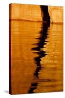 Utah, Glen Canyon National Recreation Area. Tapestry Wall Reflection Detail at Sunrise-Judith Zimmerman-Stretched Canvas