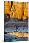 Utah, Glen Canyon National Recreation Area-Judith Zimmerman-Stretched Canvas