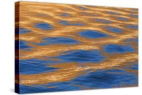 Utah, Glen Canyon Nra. Abstract of Cliff Reflection in Lake Powell-Jaynes Gallery-Stretched Canvas