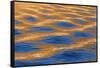Utah, Glen Canyon Nra. Abstract of Cliff Reflection in Lake Powell-Jaynes Gallery-Framed Stretched Canvas
