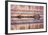 Utah, Glen Canyon Nra. Abstract Reflection of Stained Sandstone Wall-Jaynes Gallery-Framed Photographic Print