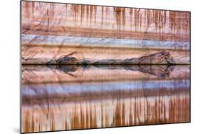 Utah, Glen Canyon Nra. Abstract Reflection of Stained Sandstone Wall-Jaynes Gallery-Mounted Photographic Print