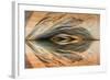 Utah, Glen Canyon Nra. Abstract Reflection of Stained Sandstone Wall-Jaynes Gallery-Framed Photographic Print