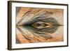 Utah, Glen Canyon Nra. Abstract Reflection of Stained Sandstone Wall-Jaynes Gallery-Framed Photographic Print