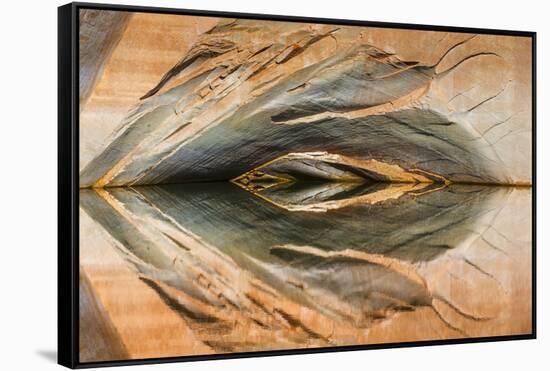 Utah, Glen Canyon Nra. Abstract Reflection of Stained Sandstone Wall-Jaynes Gallery-Framed Stretched Canvas