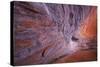 Utah, Glen Canyon Nra. Sandstone Wall of Alcove in Fifty Mile Canyon-Jaynes Gallery-Stretched Canvas