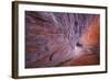 Utah, Glen Canyon Nra. Sandstone Wall of Alcove in Fifty Mile Canyon-Jaynes Gallery-Framed Photographic Print