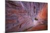 Utah, Glen Canyon Nra. Sandstone Wall of Alcove in Fifty Mile Canyon-Jaynes Gallery-Mounted Photographic Print