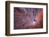 Utah, Glen Canyon Nra. Sandstone Wall of Alcove in Fifty Mile Canyon-Jaynes Gallery-Framed Photographic Print