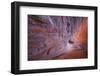 Utah, Glen Canyon Nra. Sandstone Wall of Alcove in Fifty Mile Canyon-Jaynes Gallery-Framed Photographic Print