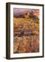 Utah, Glen Canyon Nra. Sunset on Sandstone Formations-Jaynes Gallery-Framed Photographic Print