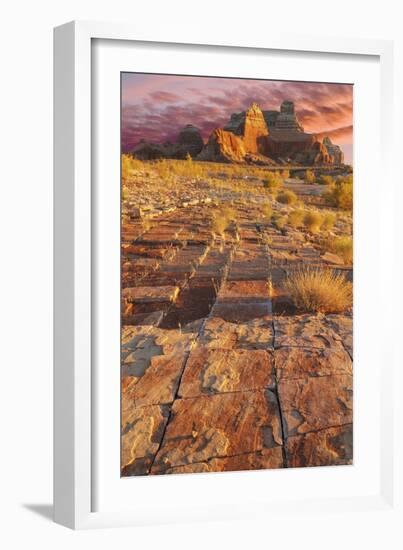 Utah, Glen Canyon Nra. Sunset on Sandstone Formations-Jaynes Gallery-Framed Photographic Print