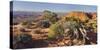 Utah Juniper, Near Grand View Point, Island in the Sky, Canyonlands National Park, Utah, Usa-Rainer Mirau-Stretched Canvas