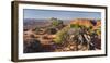 Utah Juniper, Near Grand View Point, Island in the Sky, Canyonlands National Park, Utah, Usa-Rainer Mirau-Framed Photographic Print