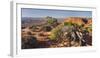 Utah Juniper, Near Grand View Point, Island in the Sky, Canyonlands National Park, Utah, Usa-Rainer Mirau-Framed Photographic Print