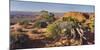 Utah Juniper, Near Grand View Point, Island in the Sky, Canyonlands National Park, Utah, Usa-Rainer Mirau-Mounted Photographic Print