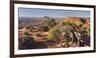 Utah Juniper, Near Grand View Point, Island in the Sky, Canyonlands National Park, Utah, Usa-Rainer Mirau-Framed Photographic Print