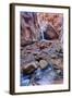 Utah, Kanarraville, Kanarra Creek Canyon and Waterfall-Jamie And Judy Wild-Framed Photographic Print