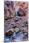 Utah, Kanarraville, Kanarra Creek Canyon and Waterfall-Jamie And Judy Wild-Mounted Photographic Print