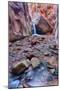 Utah, Kanarraville, Kanarra Creek Canyon and Waterfall-Jamie And Judy Wild-Mounted Photographic Print