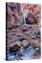 Utah, Kanarraville, Kanarra Creek Canyon and Waterfall-Jamie And Judy Wild-Stretched Canvas